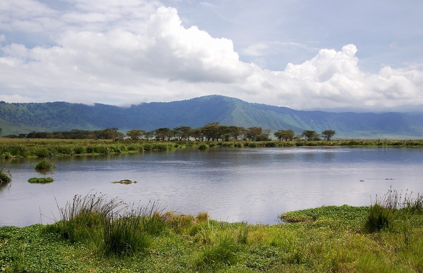 Lake Manyara Landscape