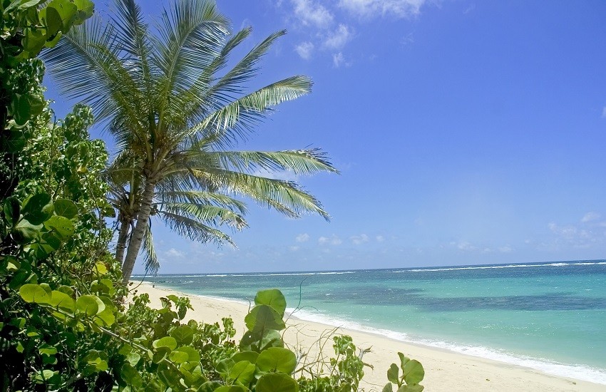 Martinique Beach