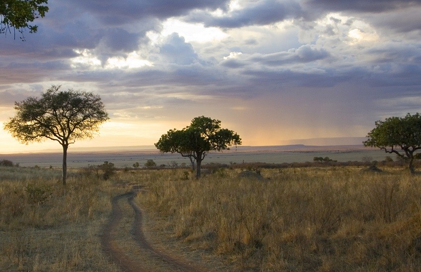 Masai Mara Landscape