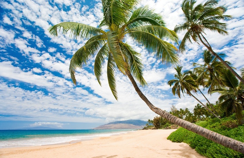 Maui Beach In South