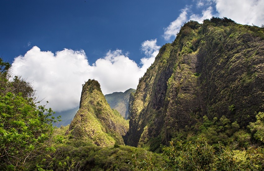 Maui Ioa Needle