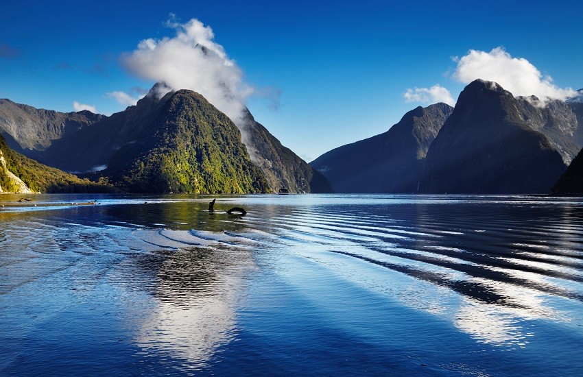 Milford Sound