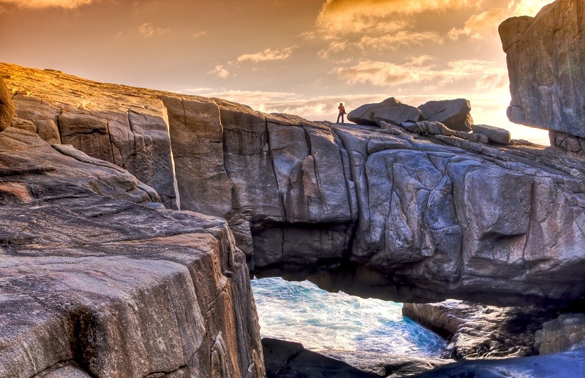 Nature Bridge