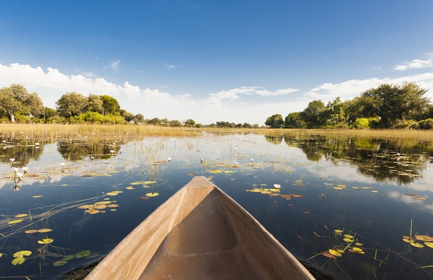 Okavango Delta Canoe