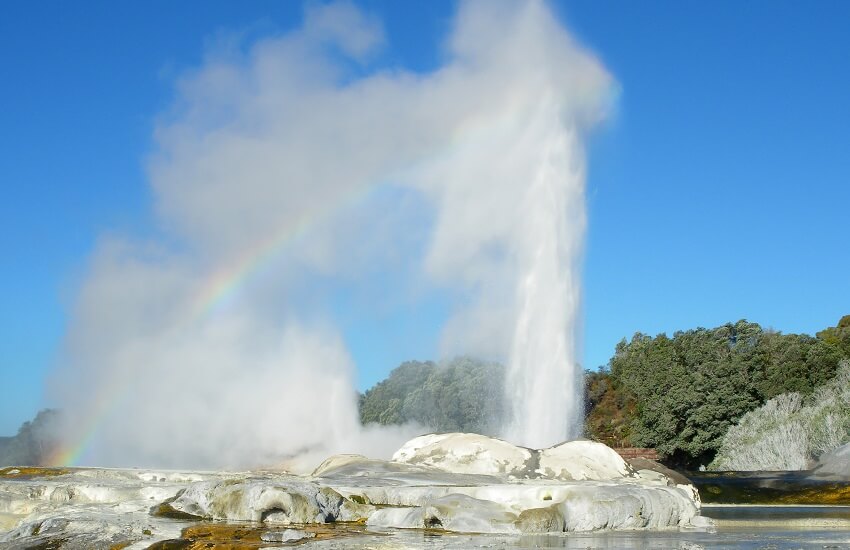 Pohutu Geyser, Rotorua