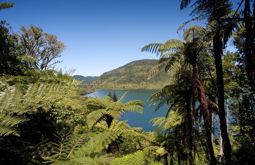 Rotura Lake