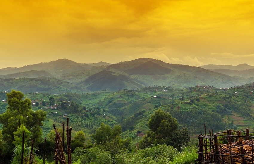 Rwanda Landscape