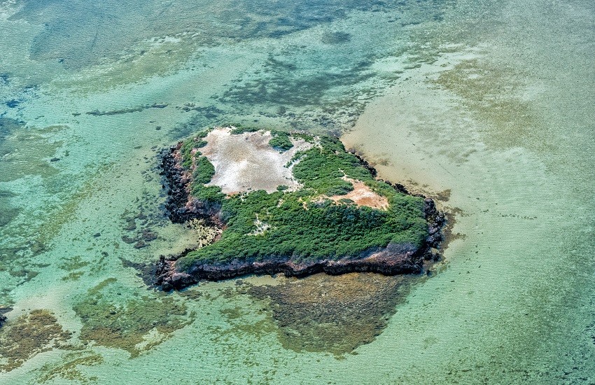 Shark Bay Mokey Mia