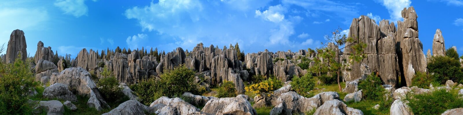 Stone Forest