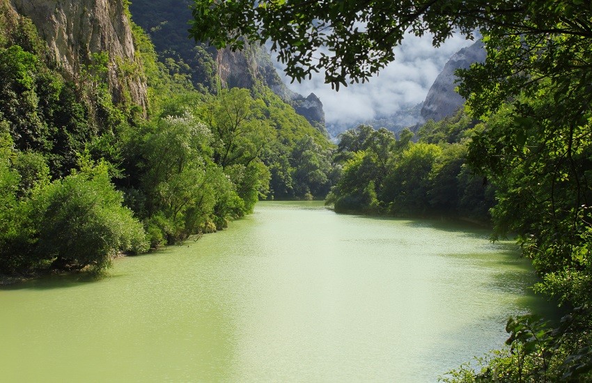 The Amazon River