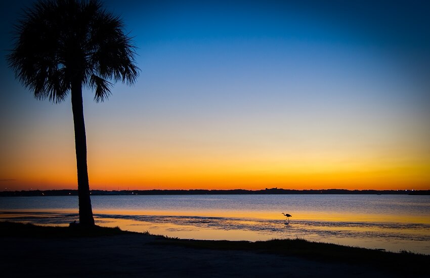 Black Point Wildlife Drive