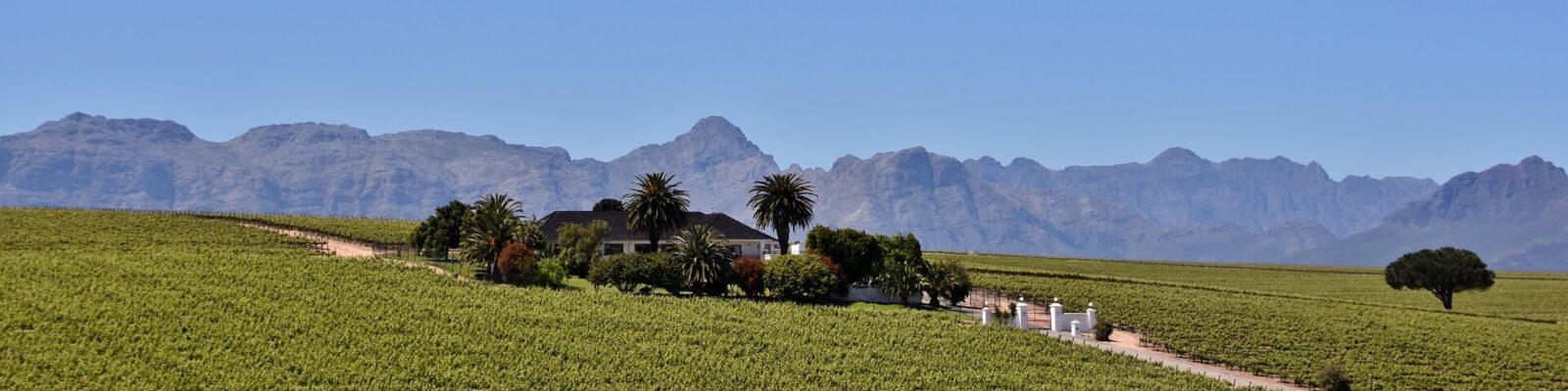 Winelands Banner