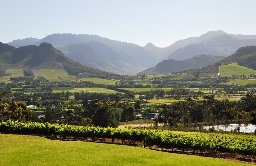 Winelands Landscape