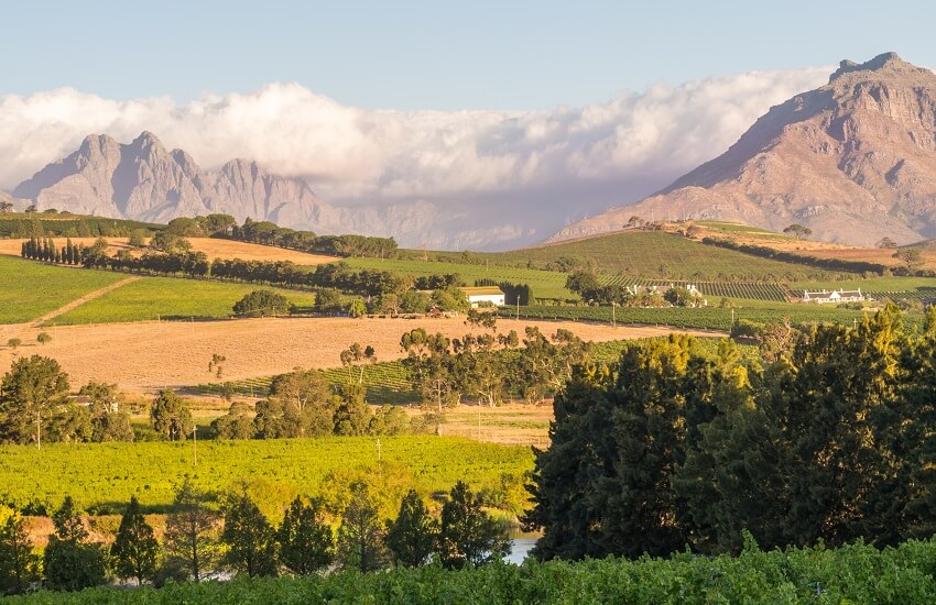 Stellenbosch