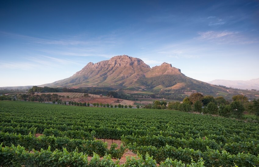 Stellenbosch