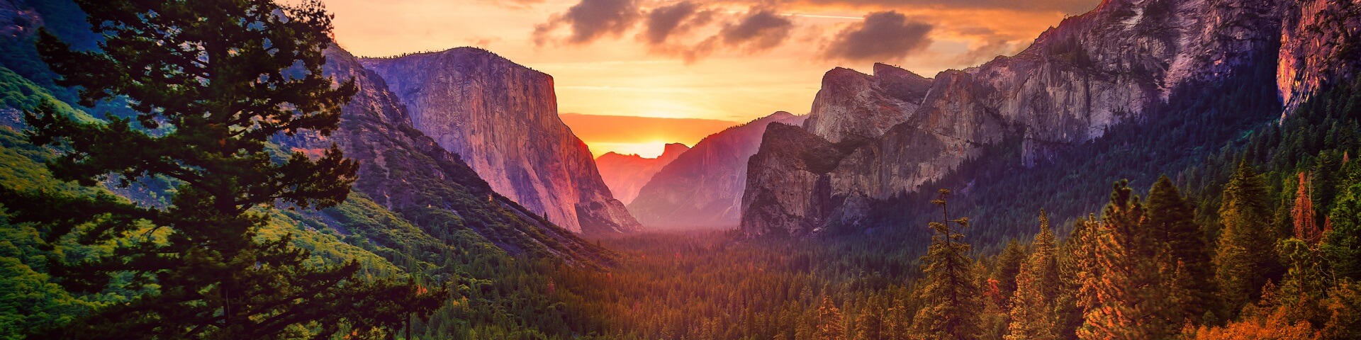 California Explorer Road Trip