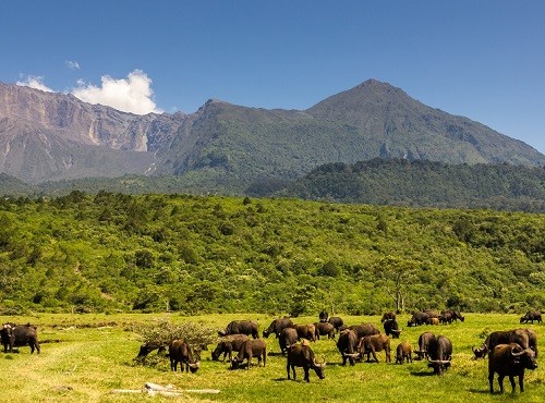 Lake Nakuru Landscape