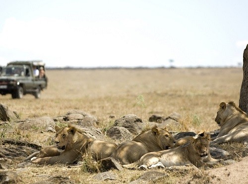 Masai Mara 4x4