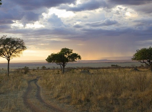 Lake Nakuru Landscape