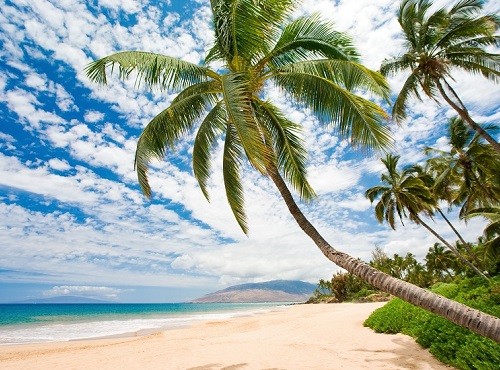 Oahu Waikiki