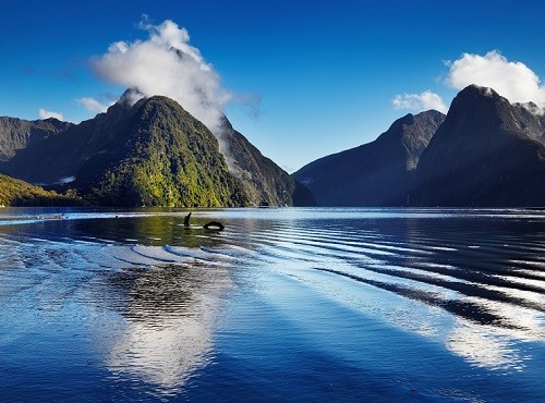 Milford Sound