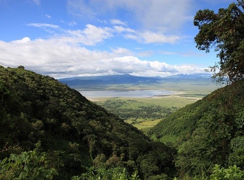 Ngorongoro Wildlife