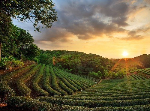 Sri Lanka