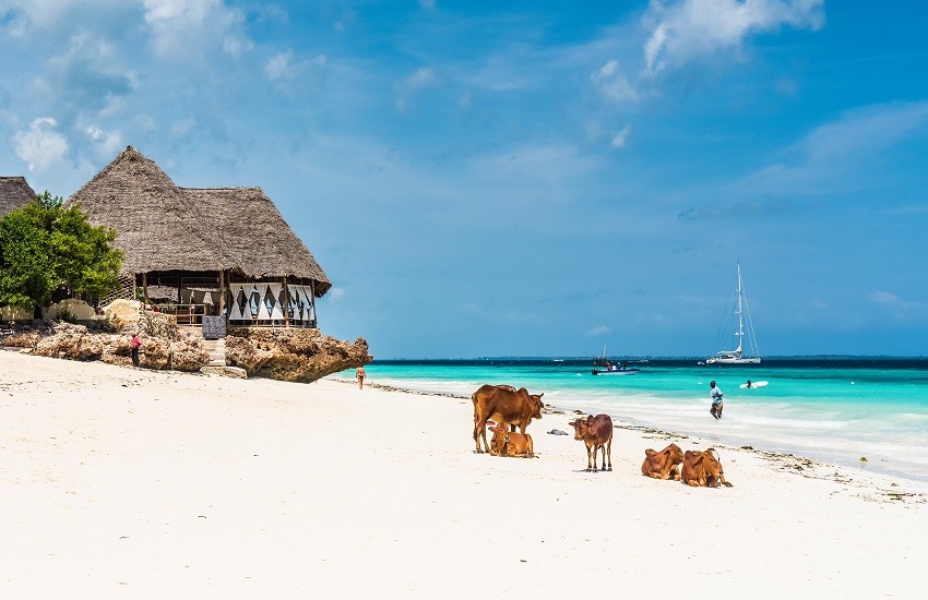 Zanzibar Beach