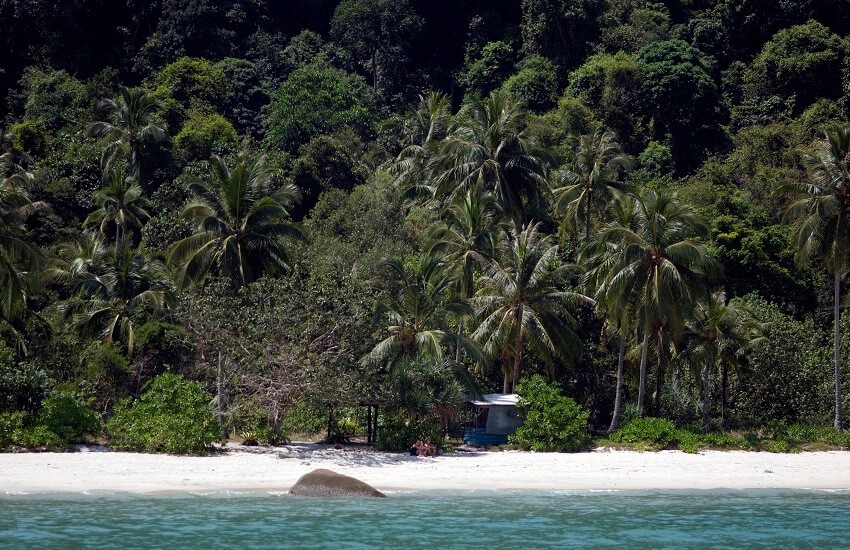 Monkey Beach, Penang