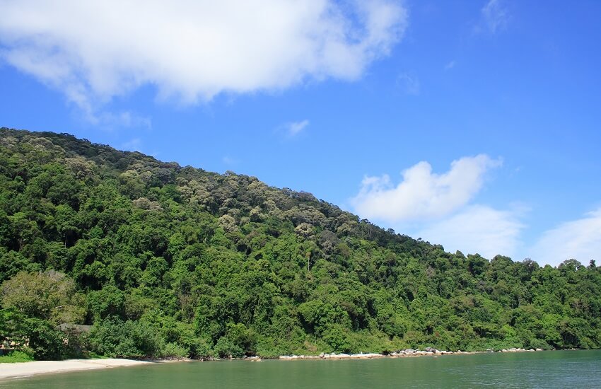 Penang National Park