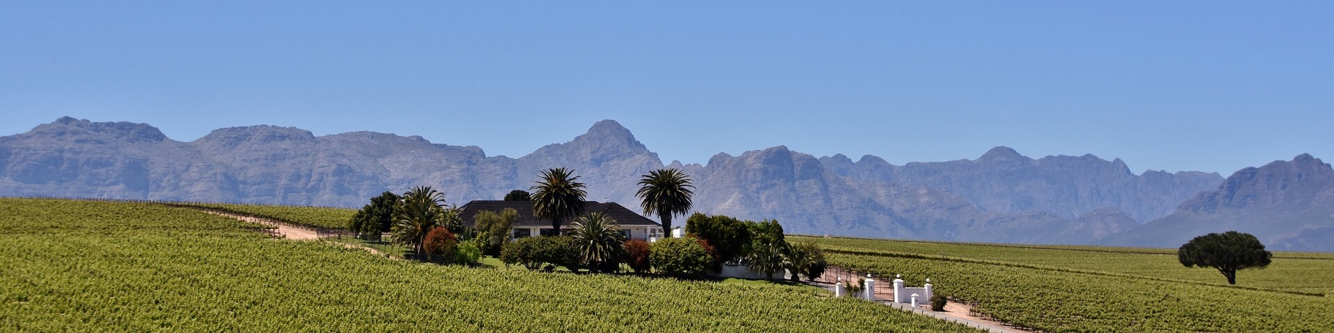 Food & Wines of South Africa