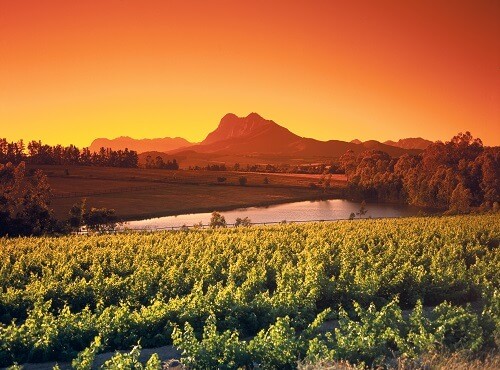 Winelands