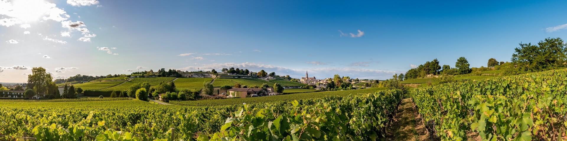 Food & Wines of France
