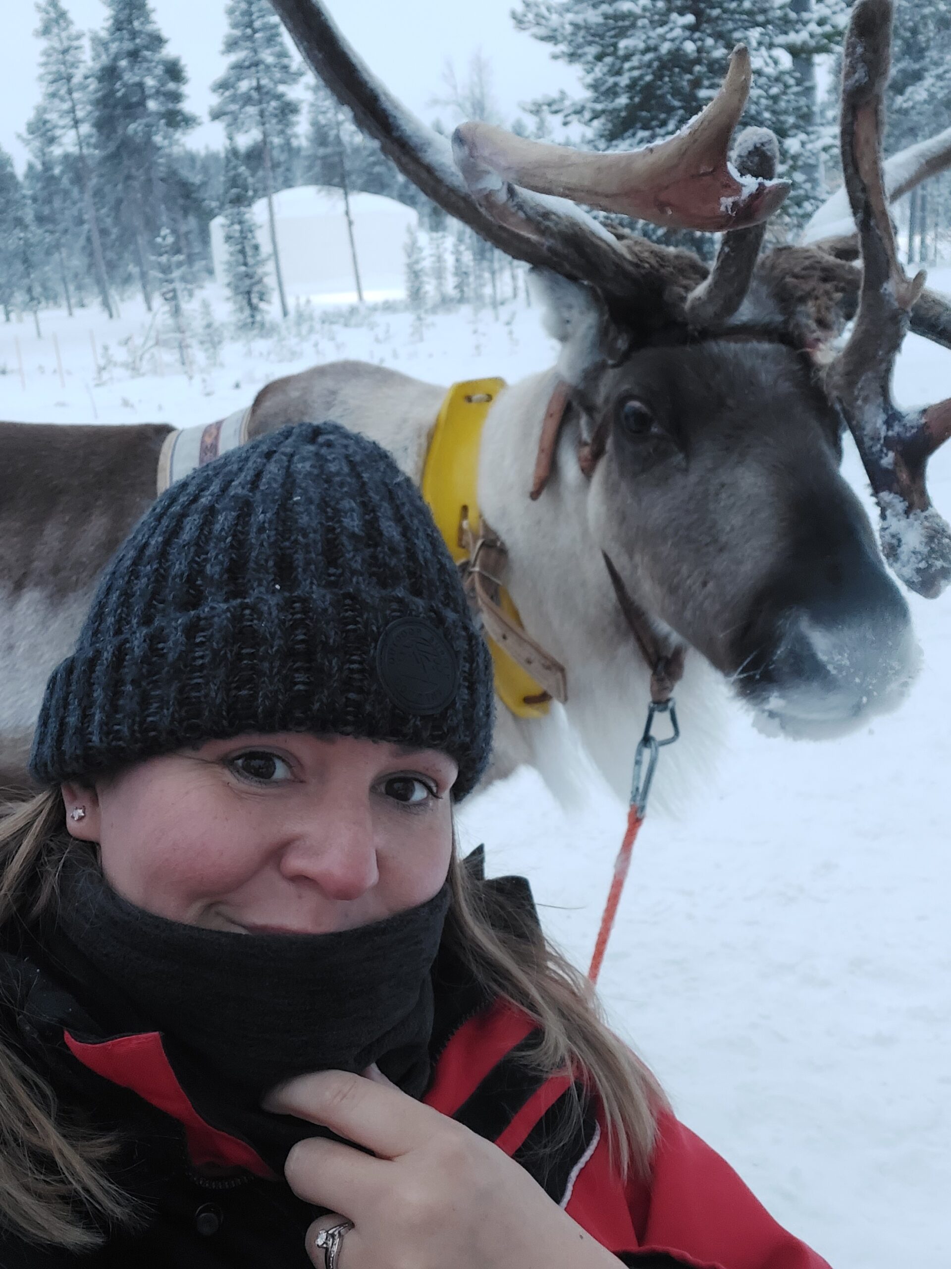 Leanne wrapped in a warm scarf and hat in snowy Lapland, standing in front of a reindeer against a magical winter landscape.