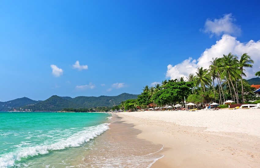 Chaweng Beach Koh Samui with palm trees, white sand and blue sea