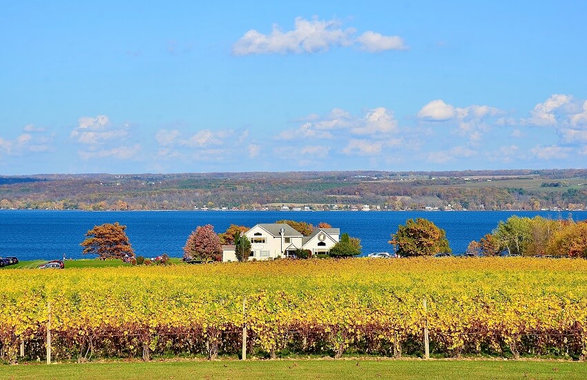 Vineyards of NE USA Road Trip