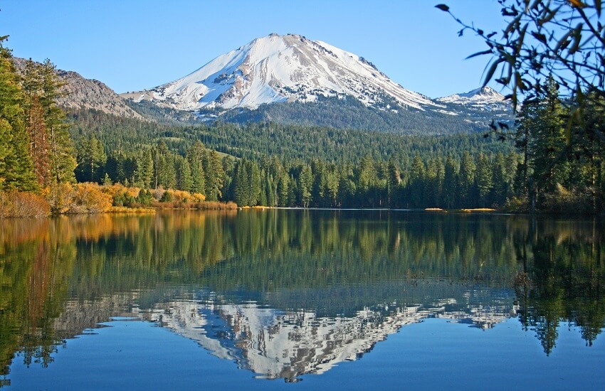 Ancient Forests of California