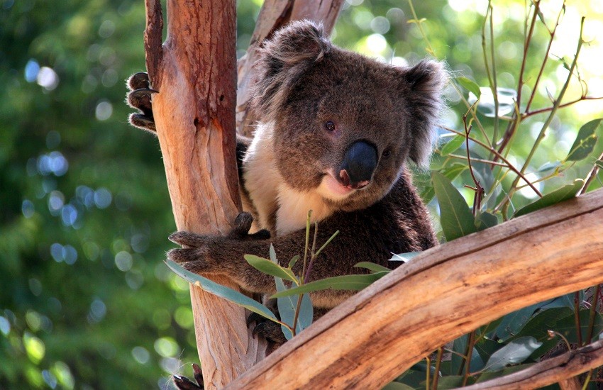 The top 10 spots around the world for a selfie