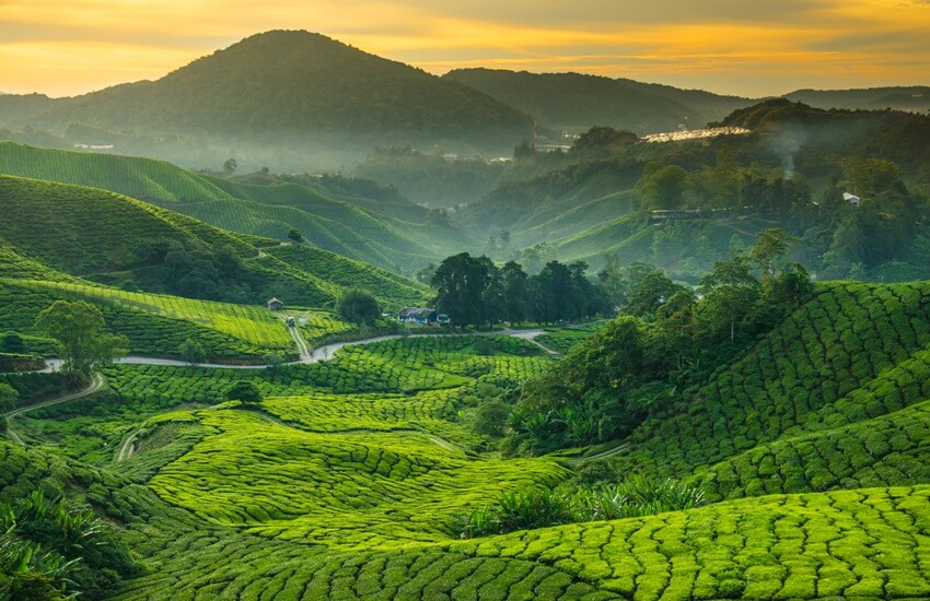 Highlights of Malaysia