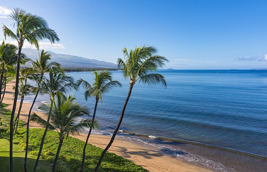 Travel Mythbusters: The Most Common (and Bizarre) Questions Travellers Ask Google