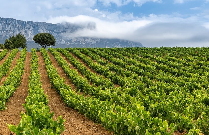 The Basque & Rioja Explorer