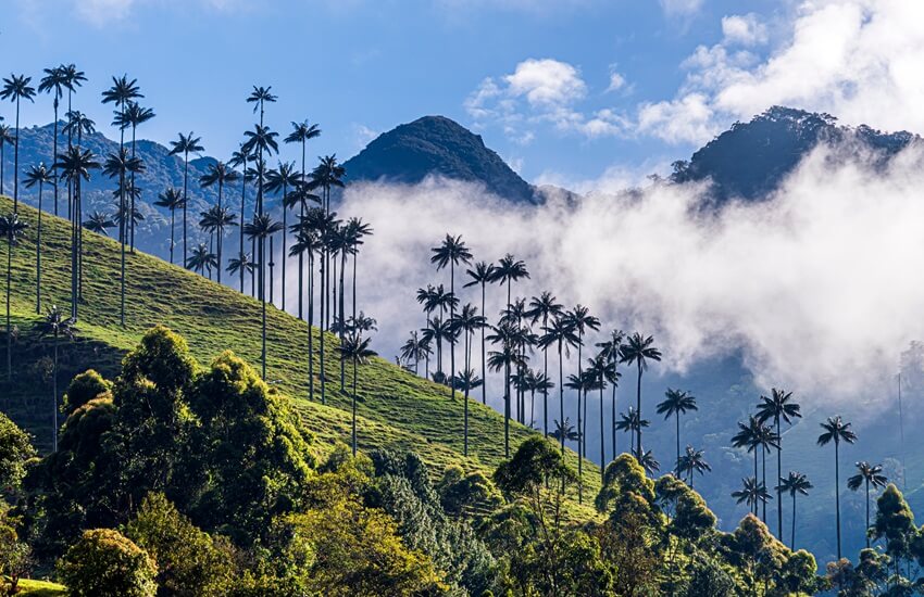 Colombia's Cities, Coffee & Beach