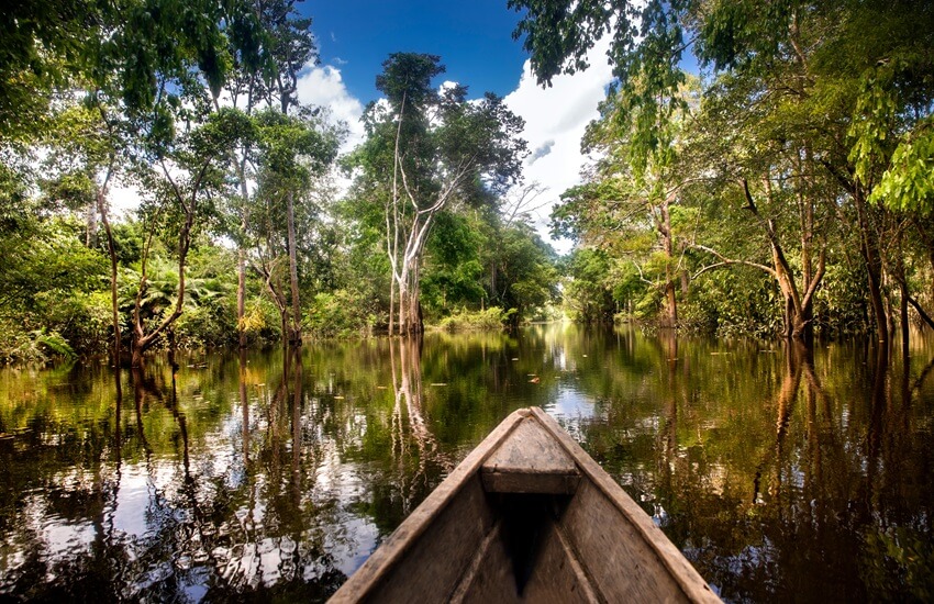 Colombia's Cities, Jungle & Beach