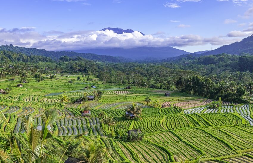 Luxury Private Bali Tour & Beach