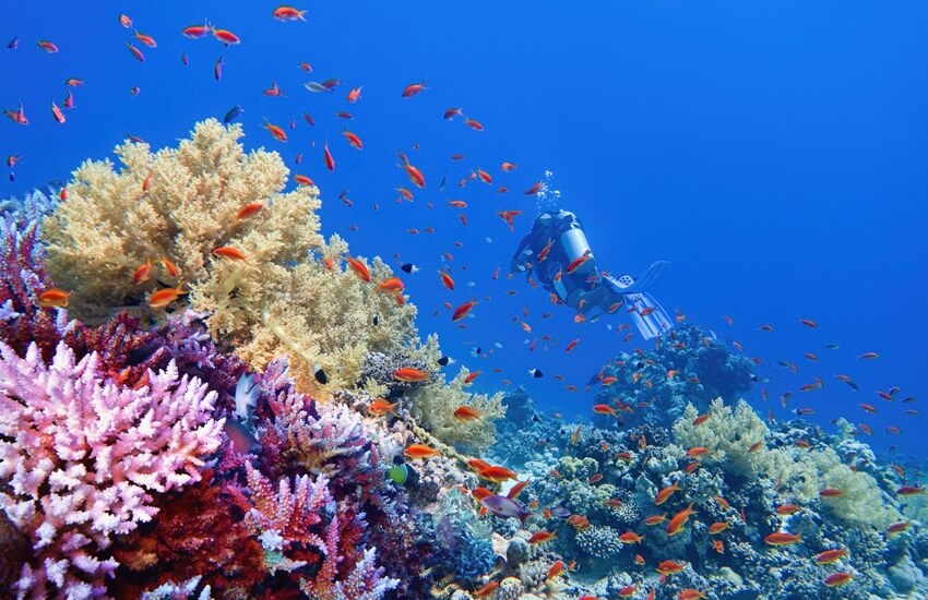 Top 10 Caribbean Islands for Snorkelling & Diving